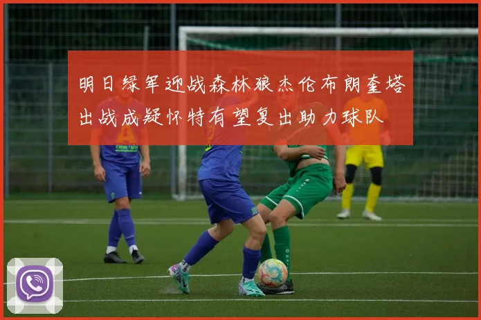 明日绿军迎战森林狼杰伦布朗奎塔出战成疑怀特有望复出助力球队